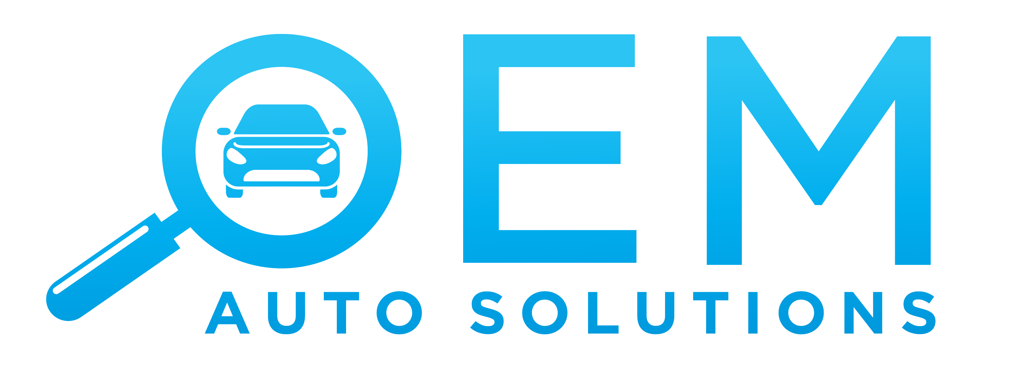 OEM Auto Solutions Logo